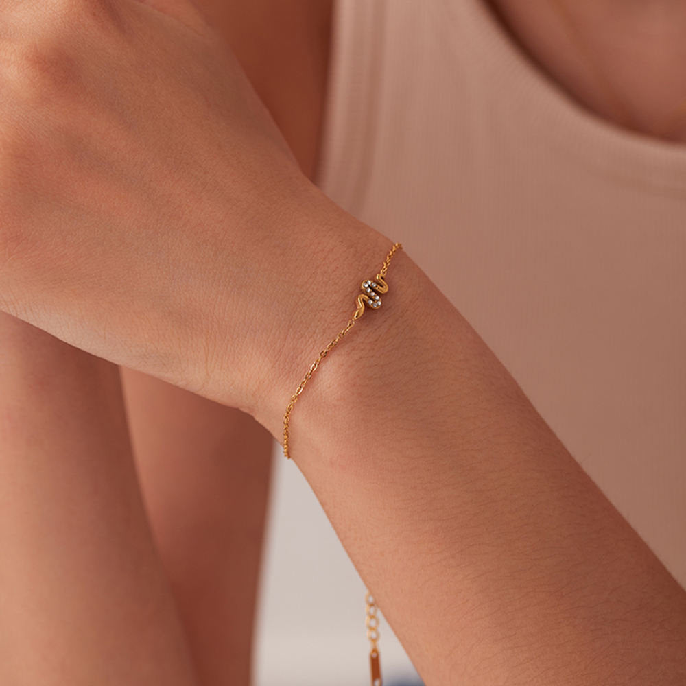 Fijne Armband met Slangenbedel – Mysterieus & Trendy | Twinolo