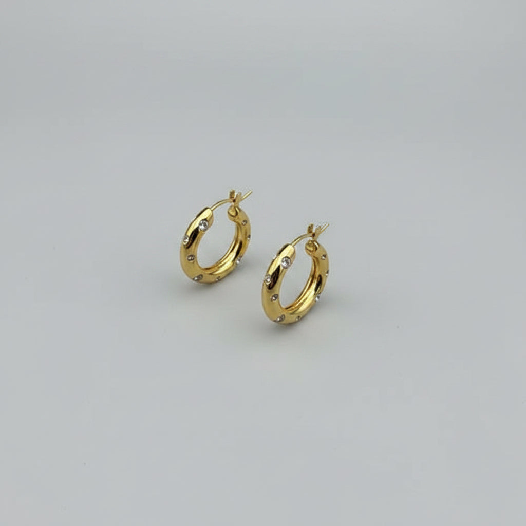 Zirkonia Hoepels – Modern & Glanzend | Twinolo